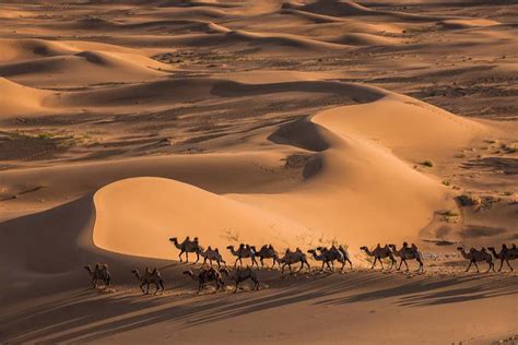 Mongolia Gobi Desert Khongor Sand Dunes World Heritage Karakorum 8