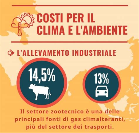 Buoni Motivi Per Ridurre Il Consumo Di Carne E Modi Per Farlo A