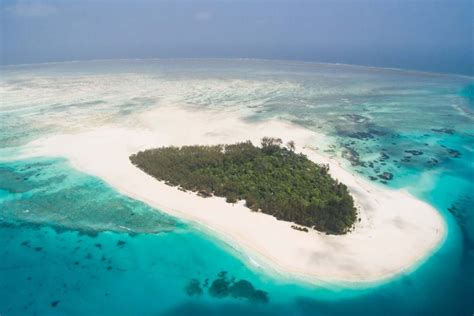 Mnemba Island Snorkeling - Unique Zanzibar Tours and Safaries