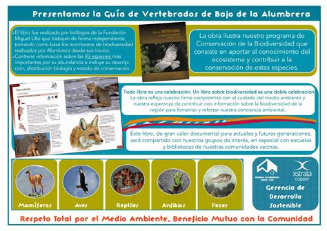 Guía de vertebrados de bajo de la alumbrera PPT