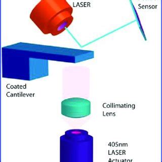 Experimental Setup For Optomechanical Modulation The Mr Aptes Coated