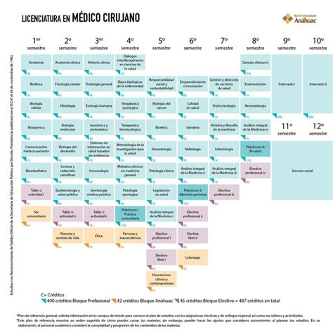 Licenciatura En M Dico Cirujano Red De Universidades An Huac Medico