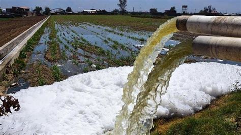 Aprende Todo Sobre La Contaminaci N Agr Cola Y Mucho M S