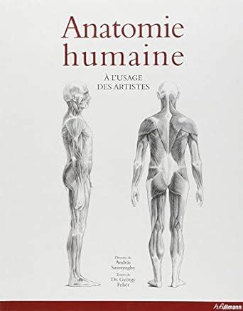 Amazon In Buy Anatomie Humaine A L Usage Des Artistes Book Online At