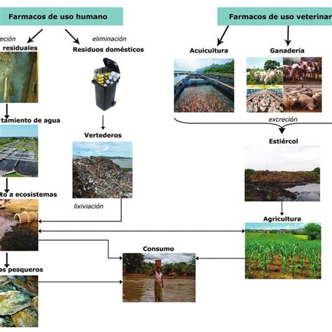 Fuentes de contaminación ambiental por fármacos Download Scientific