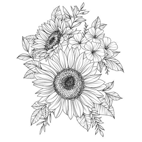 Incredible Line Art Sunflower Drawing Ideas - Goherbal