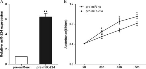 Mir 224 Promotes Crc Cell Proliferation A Mir 224 Expression In