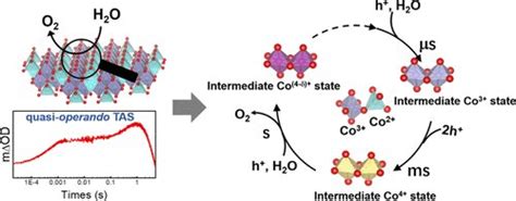 Researchers Reveal Sequential Oxidation Kinetics Of Multi Cobalt Active