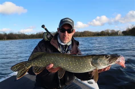 Pêche Du Brochet à La Mouche En Bretagne