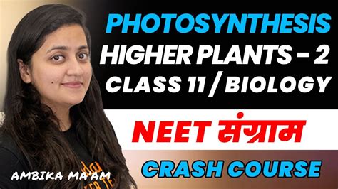 Photosynthesis In Higher Plants Class 11 Part 2 Neet 2023