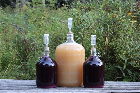 How to Make Wine From Grapes — Practical Self Reliance