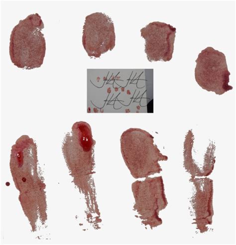 Bloody Fingerprints Stock By Bloody Fingerprint Png PNG Image