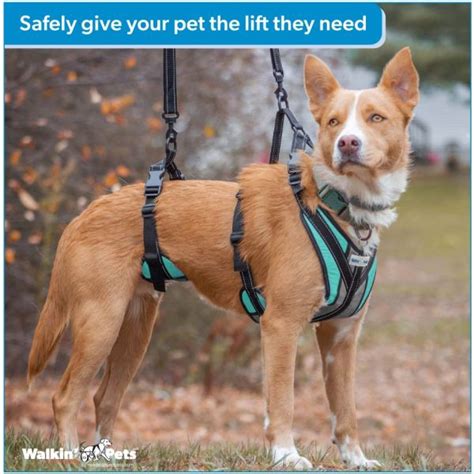 Walkin Lift N Step Harness Handicapped Pets Australia