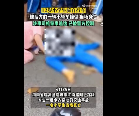 心痛！海南一12岁小学生骑车被撞身亡，涉事司机肇事逃逸，已被警方控制手机新浪网