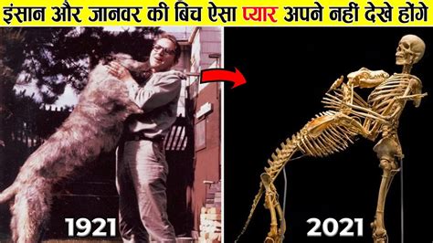 इंसान और जानवर की बीच ऐसी दोस्ती आपने नहीं देखे होंगे Amazing Facts