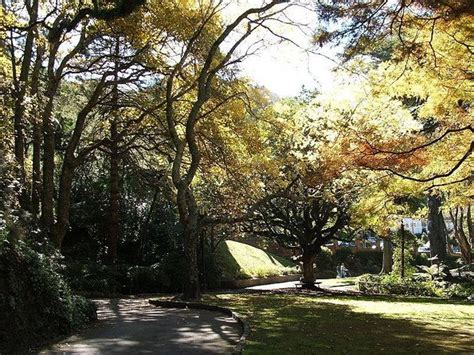 Wellington Botanic Garden, Wellington | Tickets & Tours - 2024