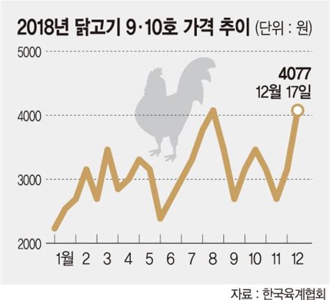 닭고기 가격 한달새 50 급등프랜차이즈 치킨값 또 오르나 네이트 뉴스