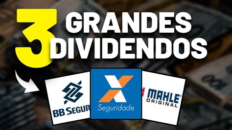 NOVAS INFORMAÇÕES SOBRE OS DIVIDENDOS PARA 2024 CXSE3 BBSE3 e LEVE3