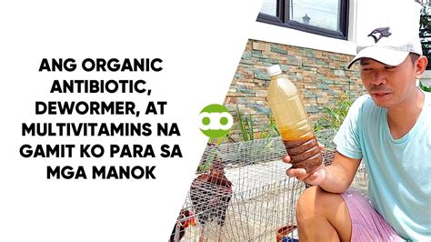 Ang Organic Antibiotic Dewormer At Multivitamins Na Gamit Ko Para Sa