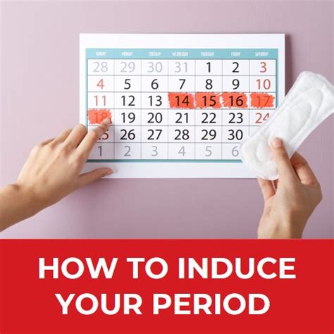 Womens Menstrual Cycle Articles And Information Center