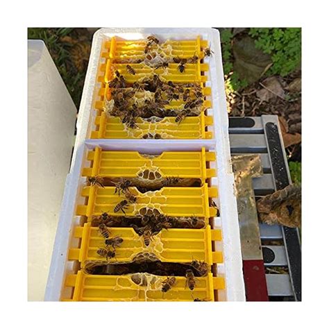 Bee Hives Boxes Plus Double Layer Queen Bee Mating Nuc Box Nuc Box For