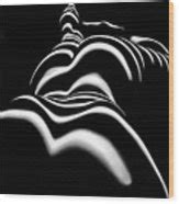 8903 SLG Zebra Woman Shoulders And Back Sensual Nude Abstract Black