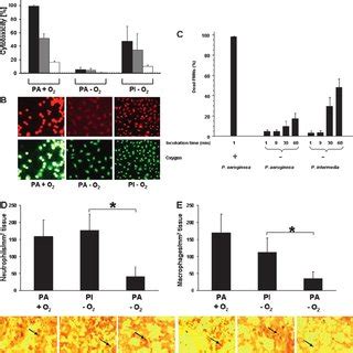 Detection Of Prevotella Intermedia Prevotella Nigrescens By A Novel