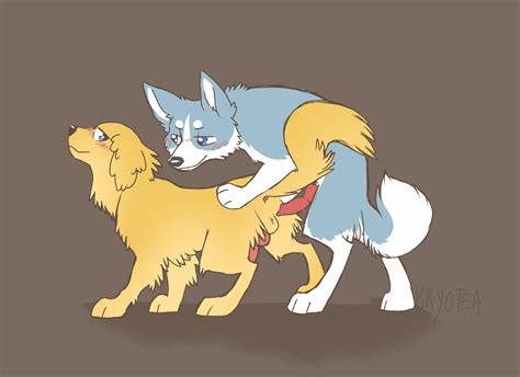 Rule 34 Akita Akita Inu Anatomically Correct Anatomically Correct