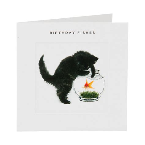 Cute Kitten Birthday Card | The Reject Shop