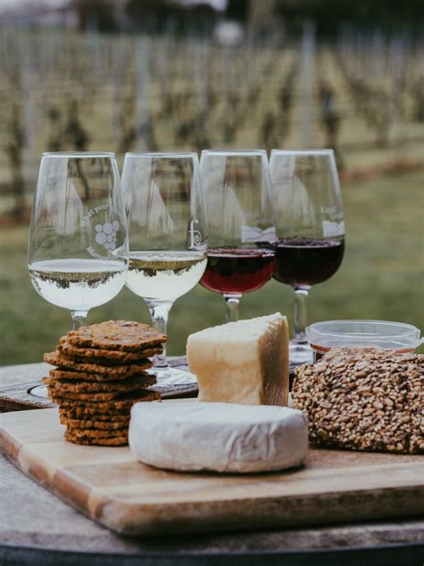 Guía sencilla para maridar vino y queso El Coto de Rioja