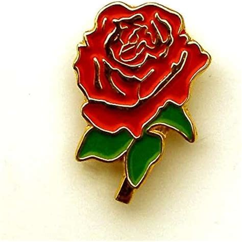 Amazon.co.uk: england rugby badge