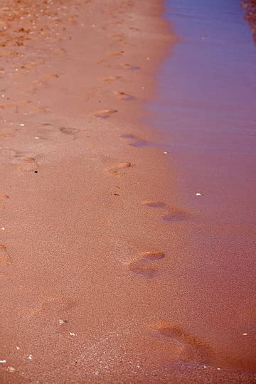 Fundo Pegadas Na Areia Os P S Descal Os Mar Natureza Foto E Imagem