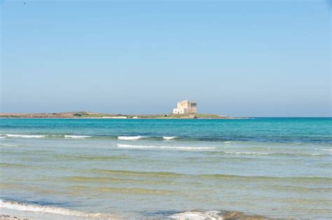 La Riserva Naturale Di Torre Guaceto Paradiso Naturalistico