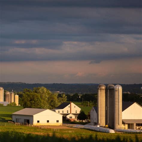 Top Amish Tours in Lancaster PA