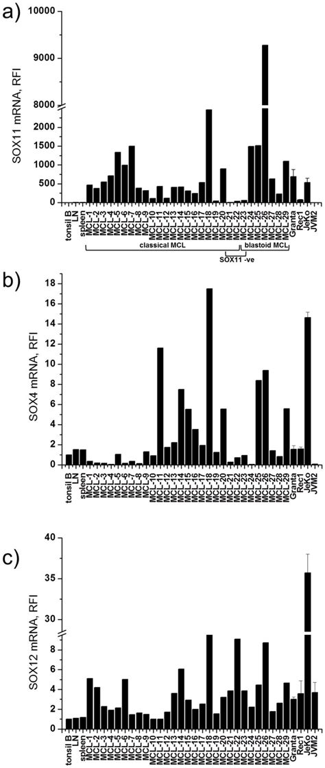 Expression Levels Of A Sox B Sox C Sox Mrna Levels In Mcl