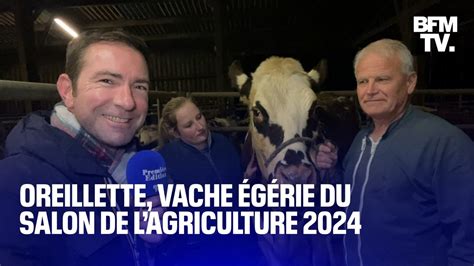 Voici Oreillette la vache égérie du prochain Salon de lagriculture