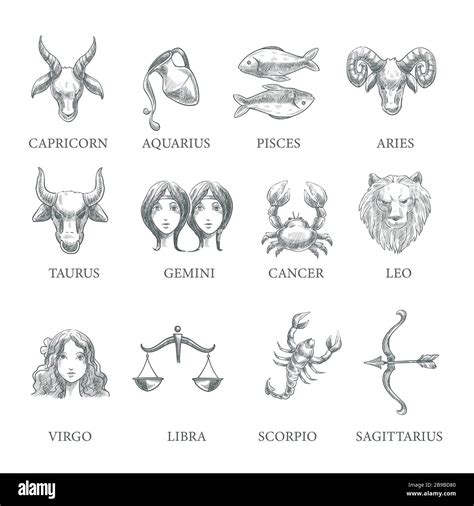 Astrología Y Signos Del Zodiaco Símbolos Del Horóscopo Iconos