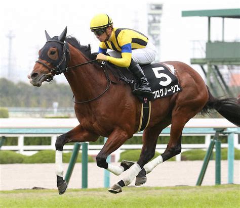 【金鯱賞】プログノーシス 切れ味抜群 7戦中6戦上がり最速― スポニチ Sponichi Annex ギャンブル