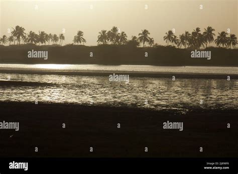 Senegal River At Sunset In The Langue De Barbarie National Park Saint