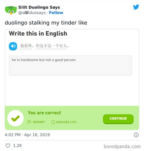 “Linguistic Gold Provided By Duolingo”: 40 Of The Funniest And Most ...