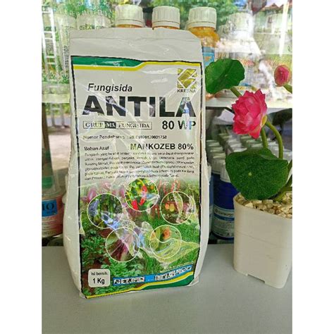 Jual Fungisida Antila Wp Pencegah Dan Pembasmi Jamur Kg Shopee