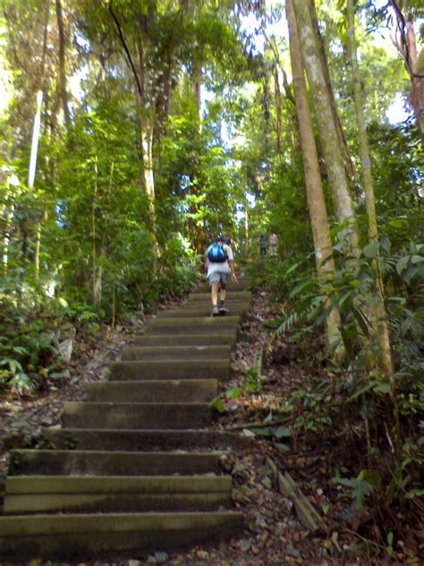 Bukit Timah Nature Reserve - Alchetron, the free social encyclopedia