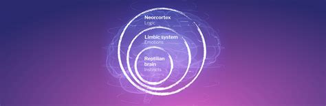 From an outdated “triune brain” to a "theory of constructed emotions ...