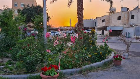 Sunset Pic I Took Somewhere In The Peaceful Suburbs Kuwait