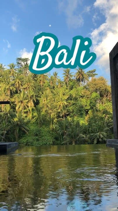 🌴🌴🌴 Indonesia Bali Lombok Travel Ubud Vacationmode Youtube