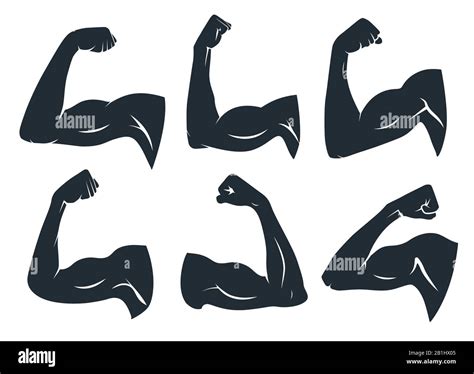 Hand Muscle Silhouette Strong Arm Muscles Hard Biceps And Power Gym