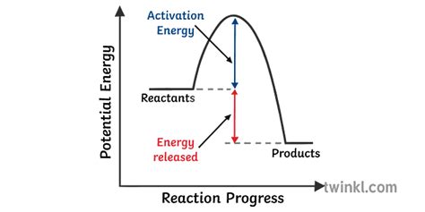 Exothermic Reaction Graph Diagram Science Secondary