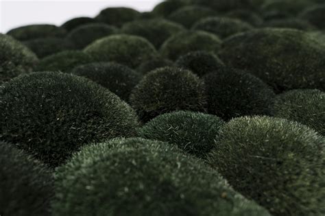 ᐉ Картина из мха Organic Design Кочка 802 120x60 см (802-120-60 ...