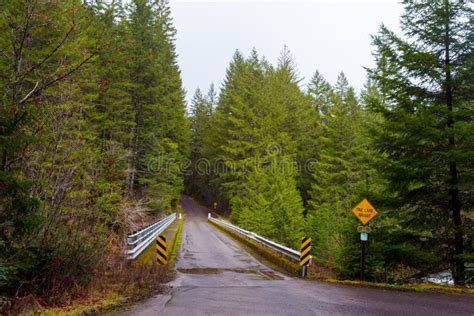 Uma Ponte Da Pista Na Floresta Foto De Stock Imagem De Oregon Rural