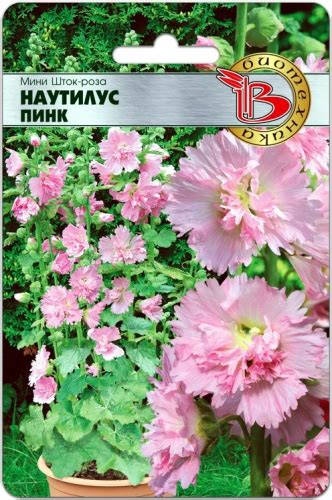 Мини Шток-Роза Наутилус Пинк